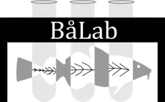 Båtsfjord Laboratorium